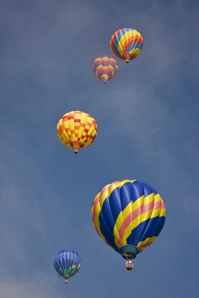 CO, Colorado Springs Hot air balloons in morning art print by Don Grall for $57.95 CAD