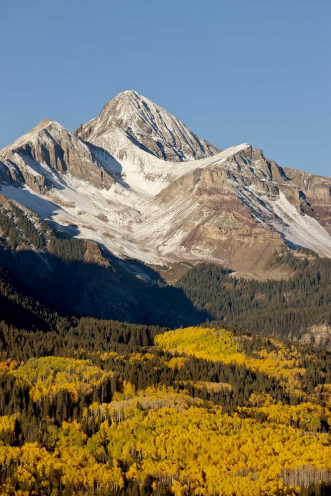 Colorado, San Juan Mts Wilson Peak in autumn art print by Don Grall for $57.95 CAD