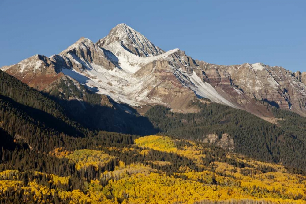 Colorado, San Juan Mts Wilson Peak in autumn art print by Don Grall for $57.95 CAD