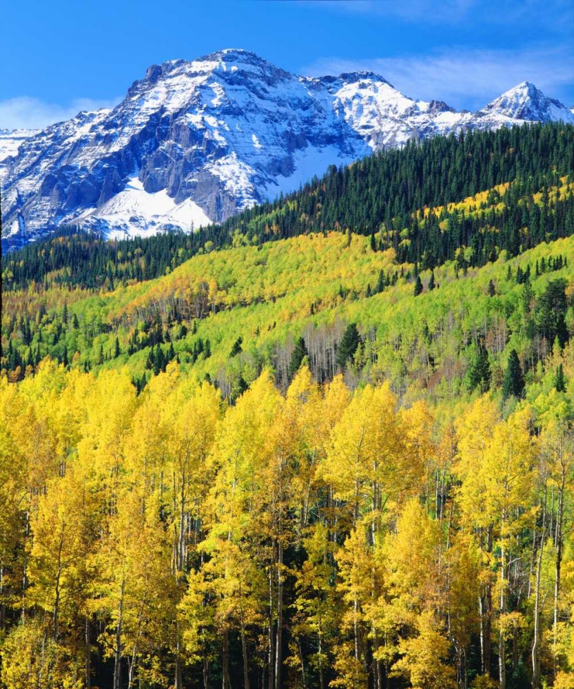 Colorado, Rocky Mountains, Autumn in the Rockies art print by Christopher Talbot Frank for $57.95 CAD