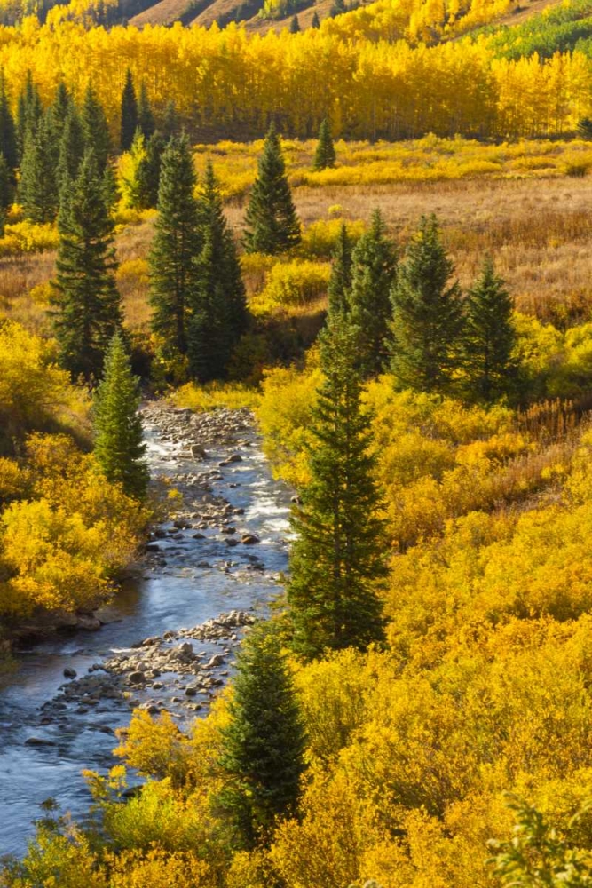 CO, Gunnison NF Autumn color and the East River art print by Cathy and Gordon Illg for $57.95 CAD