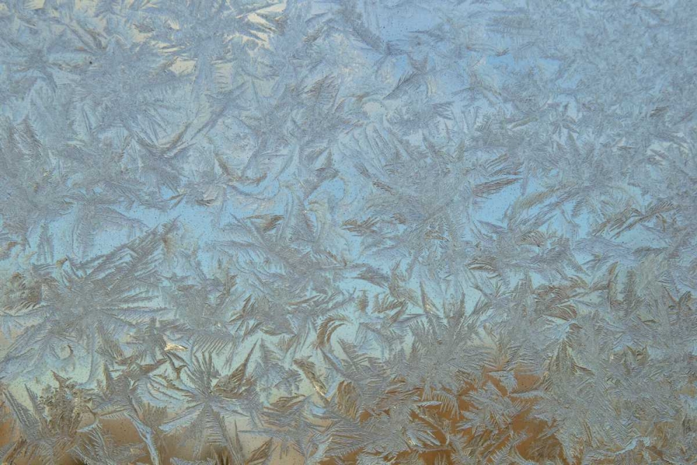 USA, Colorado Frost on window pane art print by Cathy and Gordon Illg for $57.95 CAD