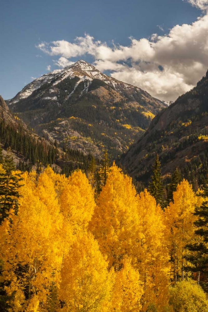 Colorado Autumn landscape in San Juan Mountains art print by Cathy and Gordon Illg for $57.95 CAD