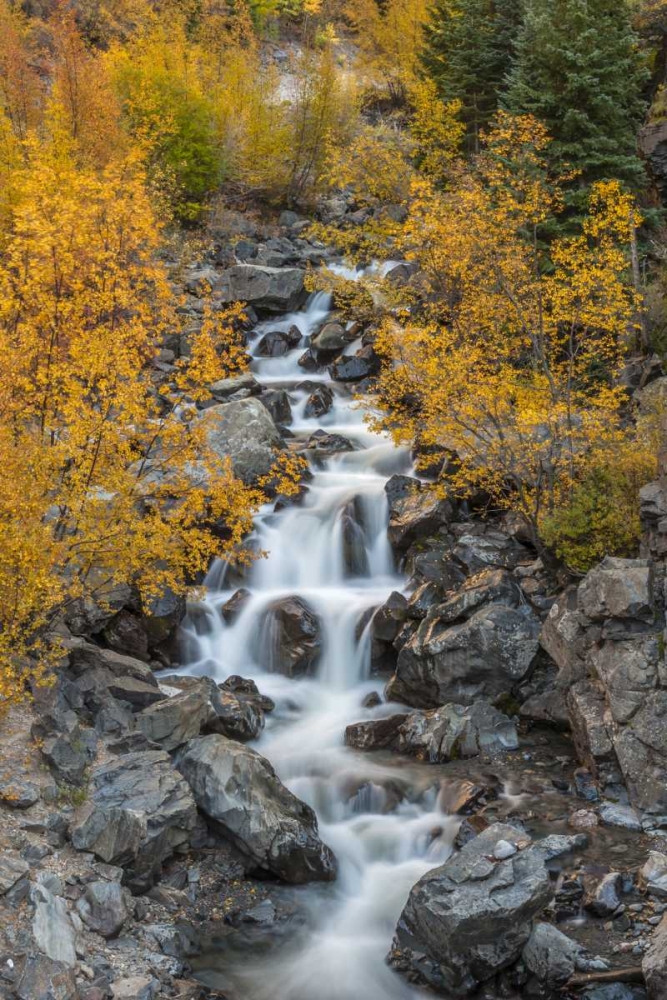Colorado Cascading creek in San Juan Mountains art print by Cathy and Gordon Illg for $57.95 CAD