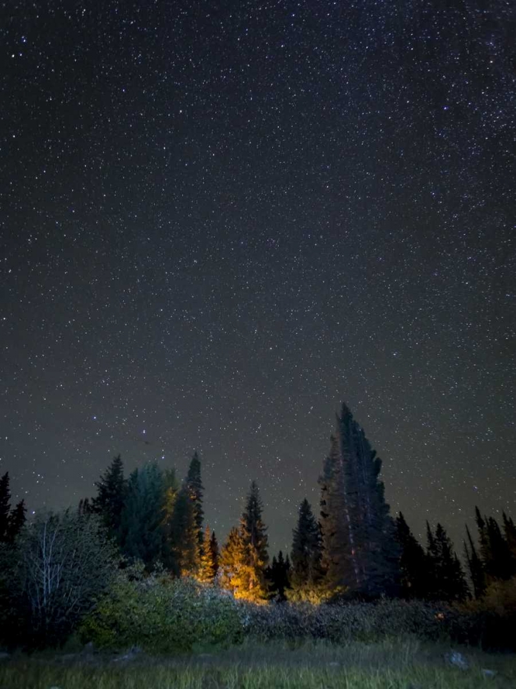 USA, Colorado Night sky at Lost Lake Slough art print by Don Paulson for $57.95 CAD