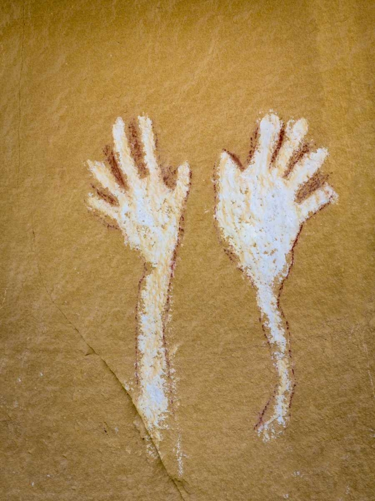 CO,  Canyon Pintado District, Pictograph of hands art print by Don Paulson for $57.95 CAD