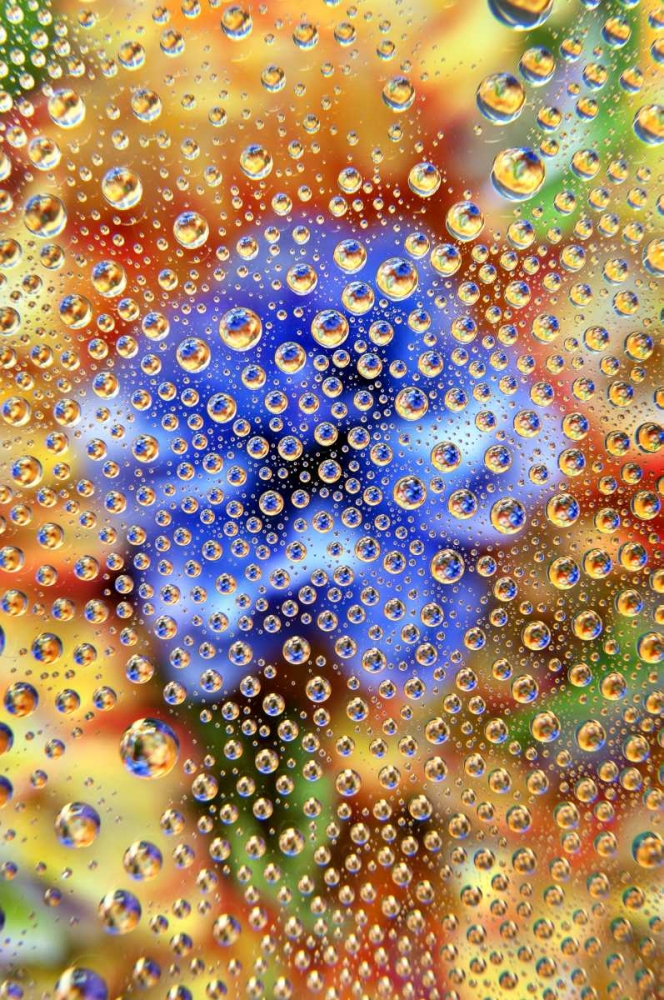 Colorado, Lafayette Abstract Water bubbles art print by Marie Bush for $57.95 CAD