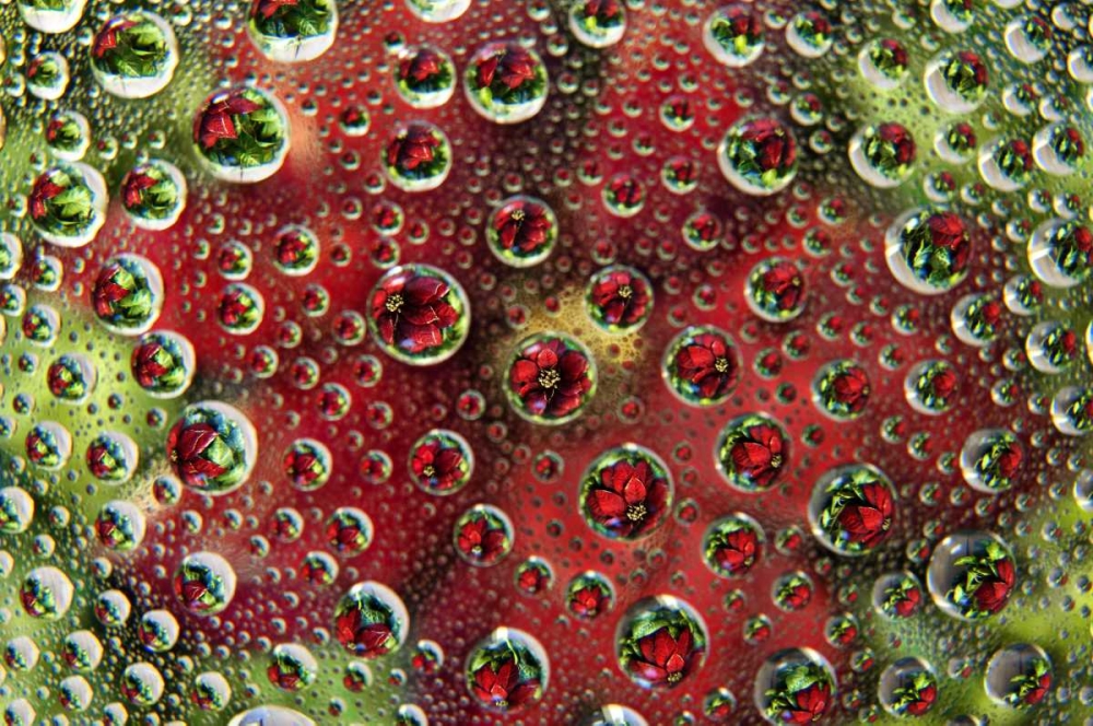 Colorado, Lafayette Abstract Water bubbles art print by Marie Bush for $57.95 CAD