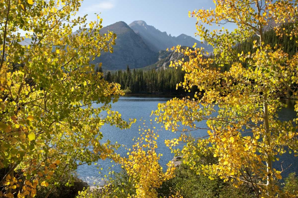 CO, Rocky Mts Bear Lake and Longs Peak, autumn art print by Marie Bush for $57.95 CAD