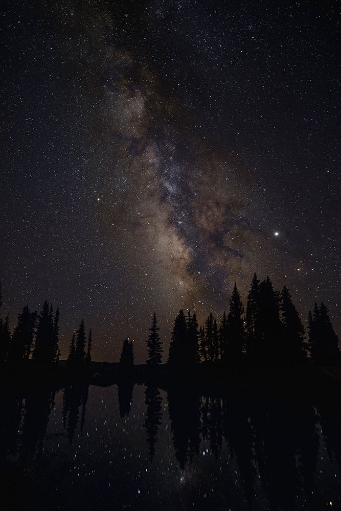 Colorado-Gunnison National Forest Milky Way above forest and lake  art print by Jaynes Gallery for $57.95 CAD