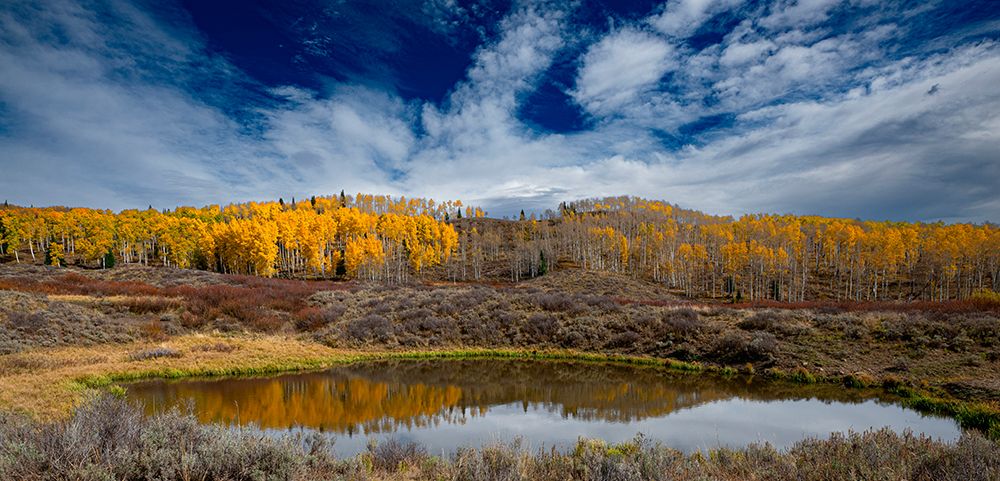 Grand view of aspen forest and a pond near the Continental Divide-Colorado-Walden-USA. art print by Betty Sederquist for $57.95 CAD
