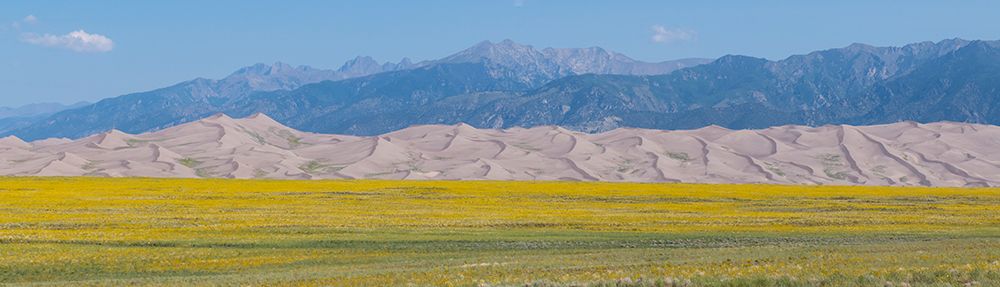 USA-Colorado-San Luis Valley-Great Sand Dunes National Park art print by Cindy Miller Hopkins for $57.95 CAD