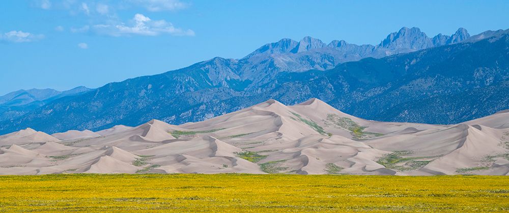 USA-Colorado-San Luis Valley-Great Sand Dunes National Park art print by Cindy Miller Hopkins for $57.95 CAD
