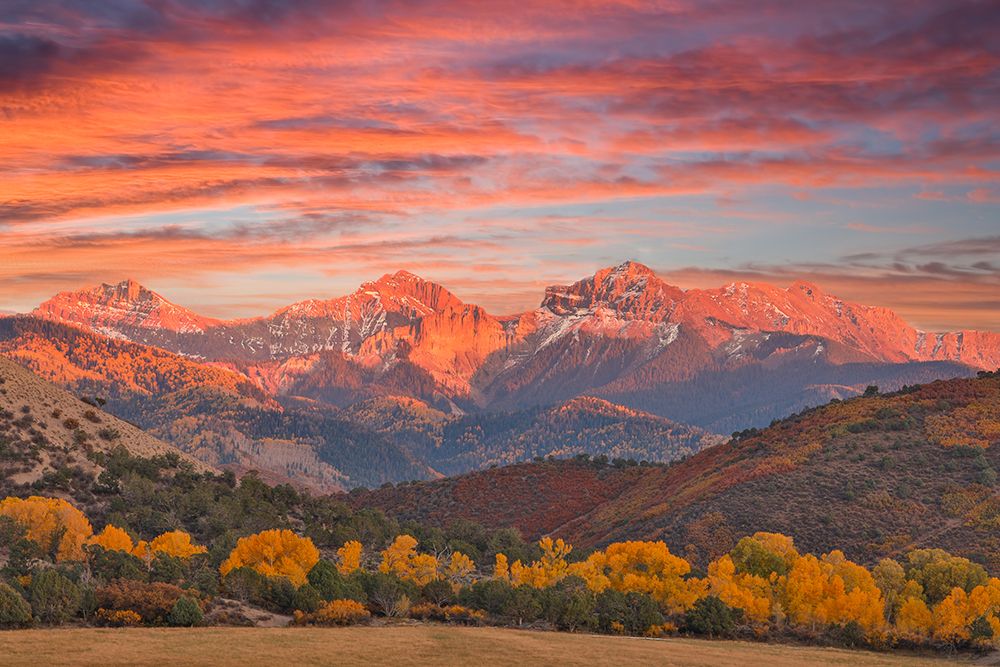 USA- Colorado- Ridgway. Sunset and Dallas Mountain Range autumn art print by Darrell Gulin for $57.95 CAD