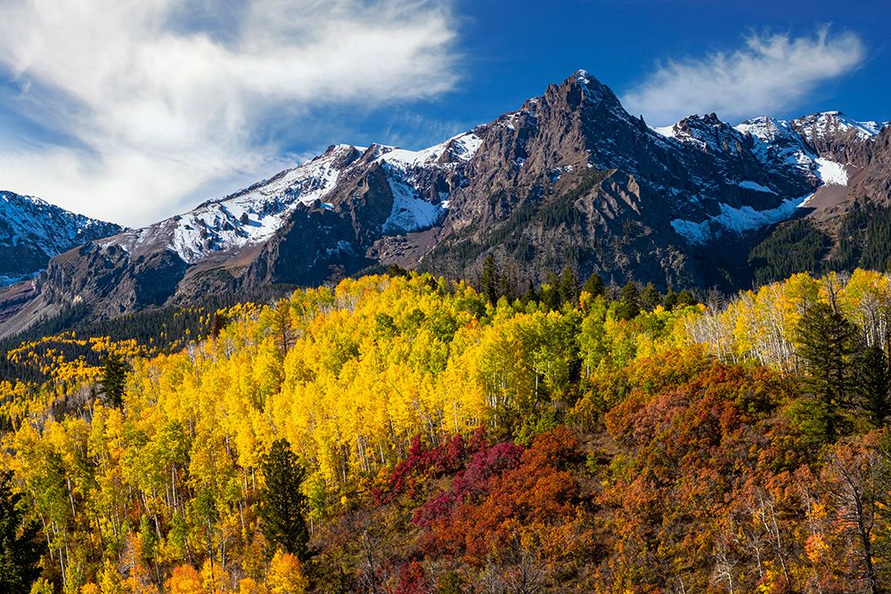 USA-Colorado autumn art print by George and Marilu Theodore for $57.95 CAD