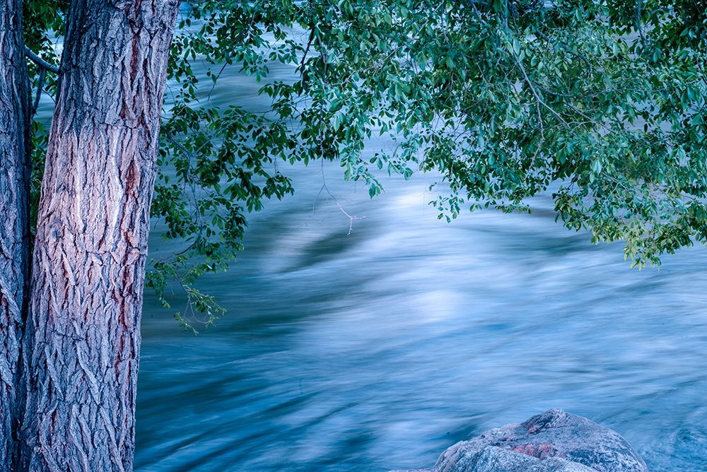 USA-Colorado Close-up of Arkansas River in Salida art print by Janell Davidson for $57.95 CAD
