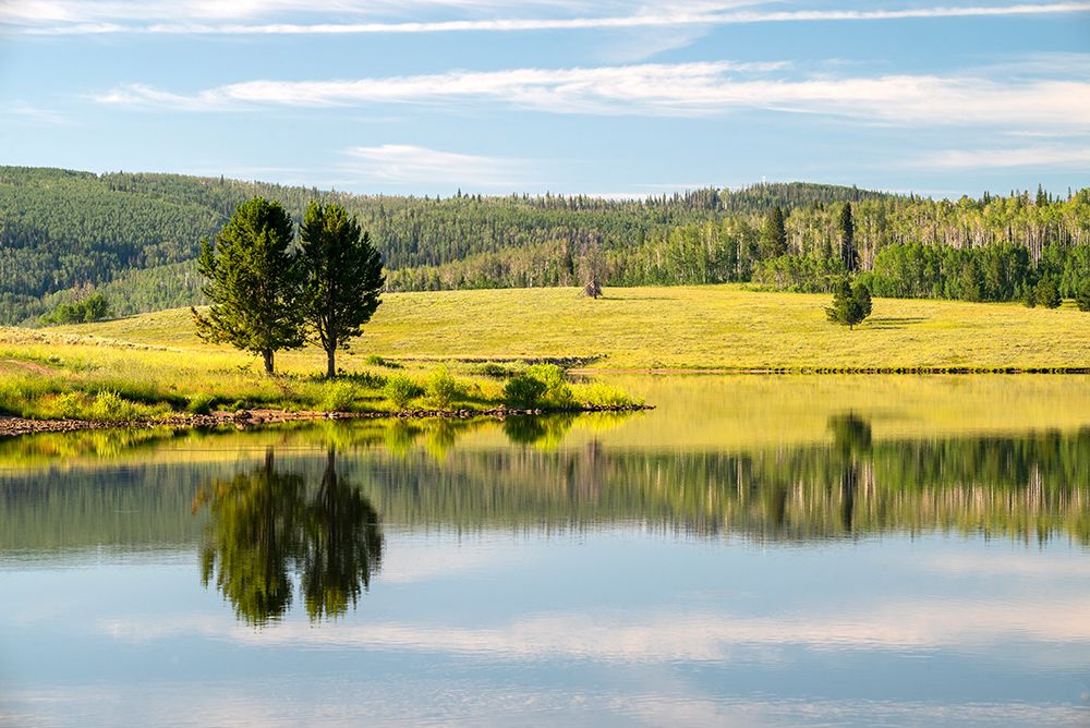 USA-Colorado Calm reflection on Steamboat Lake art print by Janell Davidson for $57.95 CAD