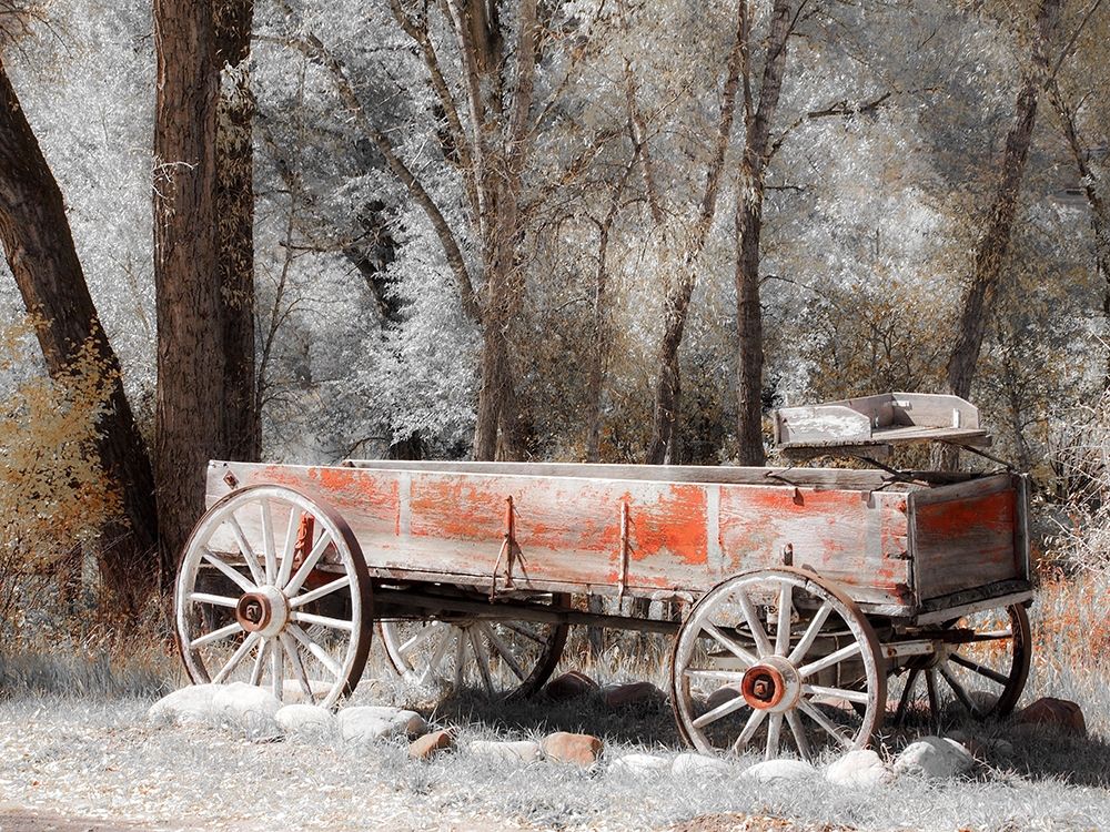 Colorado Old red wagon art print by Julie Eggers for $57.95 CAD