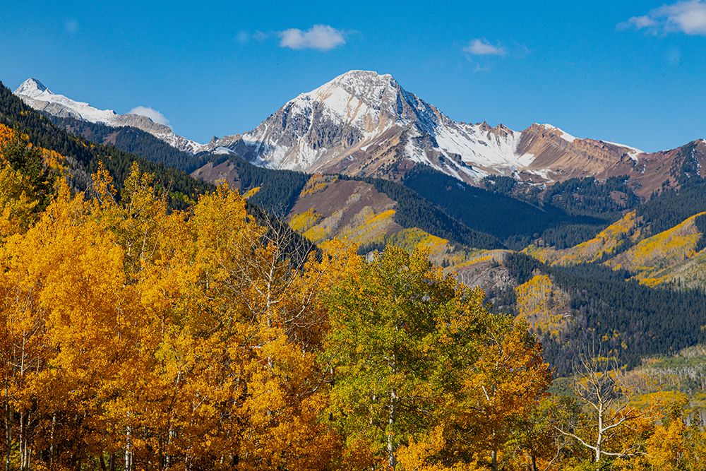 Maroon Bells-Snowmass Wilderness in October art print by Mallorie Ostrowitz for $57.95 CAD