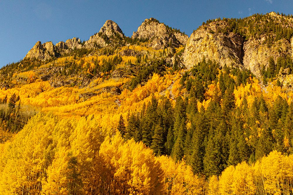 Maroon Bells-Snowmass Wilderness in Aspen-Colorado in autumn art print by Mallorie Ostrowitz for $57.95 CAD