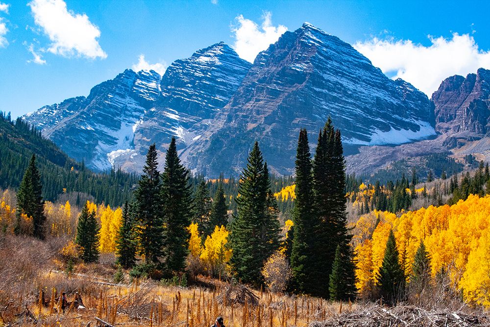 Snowcapped Maroon Bells-Snowmass Wilderness in autumn art print by Mallorie Ostrowitz for $57.95 CAD