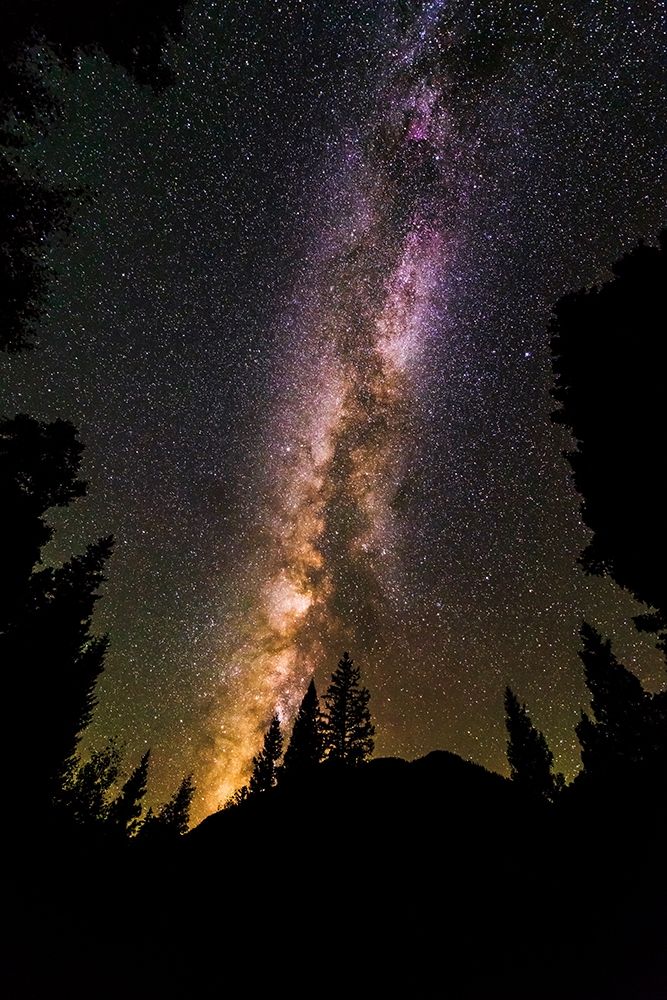 The Milky Way over Lizard Head Pass-Uncompahgre National Forest-Colorado-USA art print by Russ Bishop for $57.95 CAD