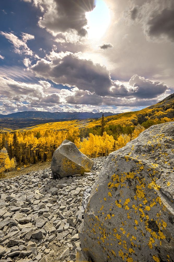 A valley of gold Aspen on Ohio Pass in the Colorado Rocky Mountains near Crested Butte art print by Steve Mohlenkamp for $57.95 CAD