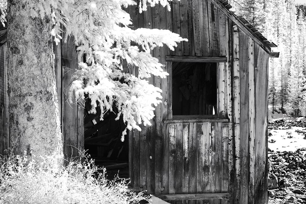 USA-Colorado-Old Mining Shack art print by Terry Eggers for $57.95 CAD