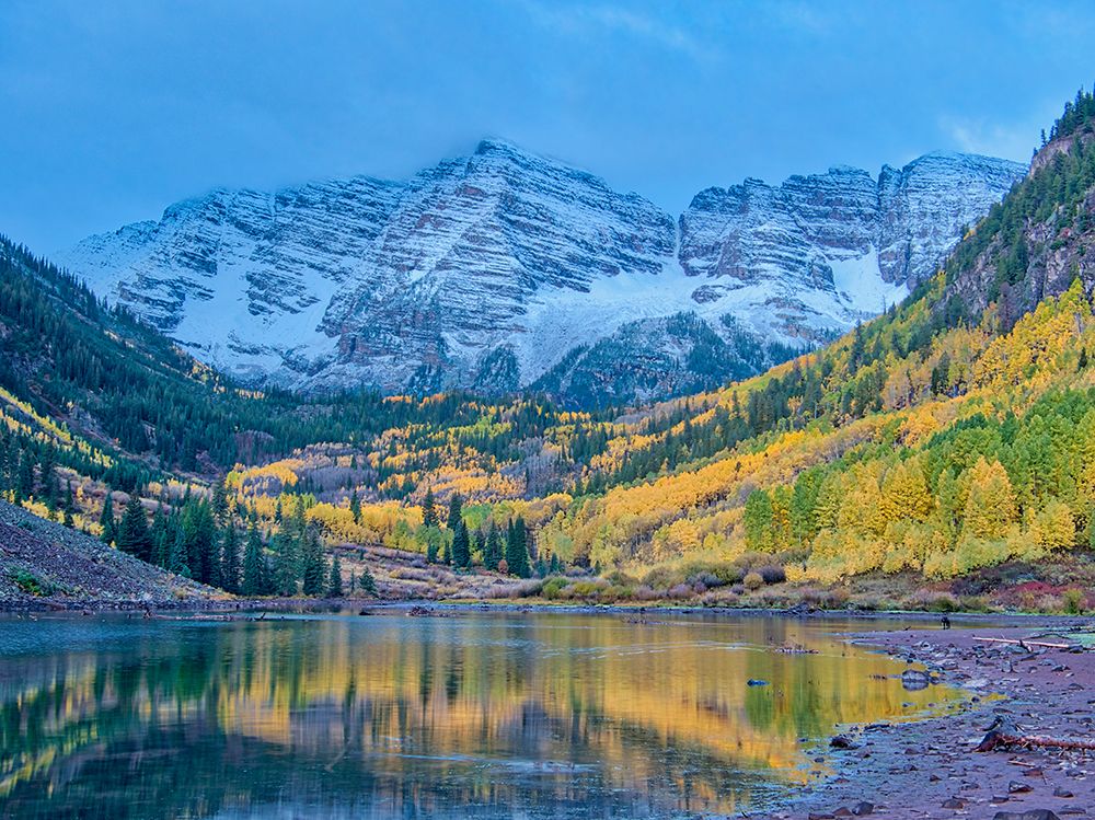 USA-Colorado-Aspen Maroon Bells-snow-covered Aspens and firs art print by Terry Eggers for $57.95 CAD