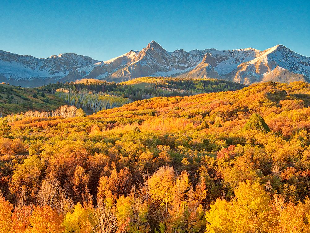 USA-Colorado-Quray Dallas Divide-sunrise on the Mt Snaffles with autumn colors art print by Terry Eggers for $57.95 CAD