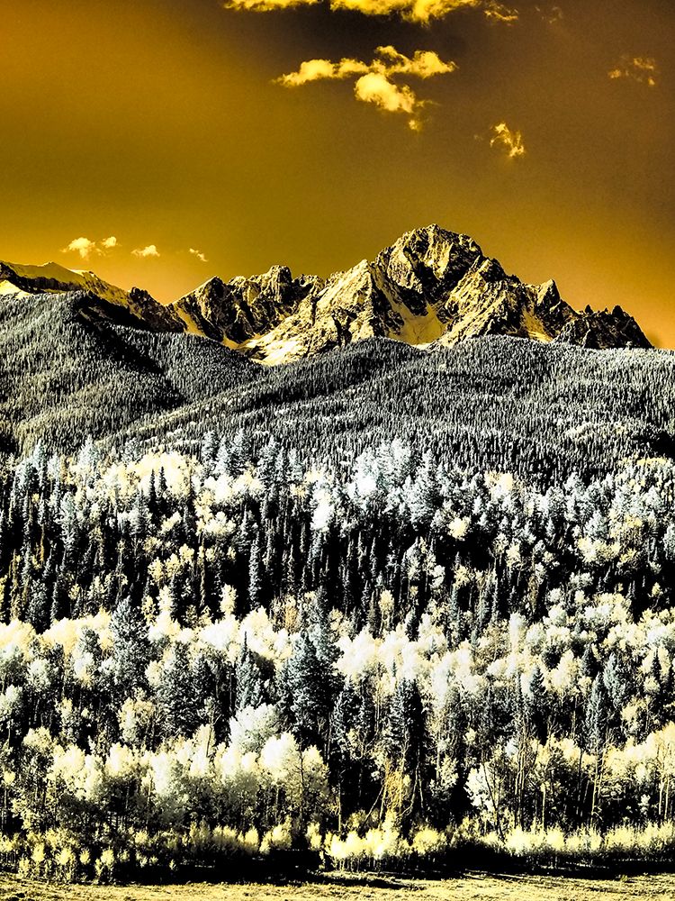 USA-Colorado Infrared of view of Mount Sneffels and Aspen trees art print by Terry Eggers for $57.95 CAD