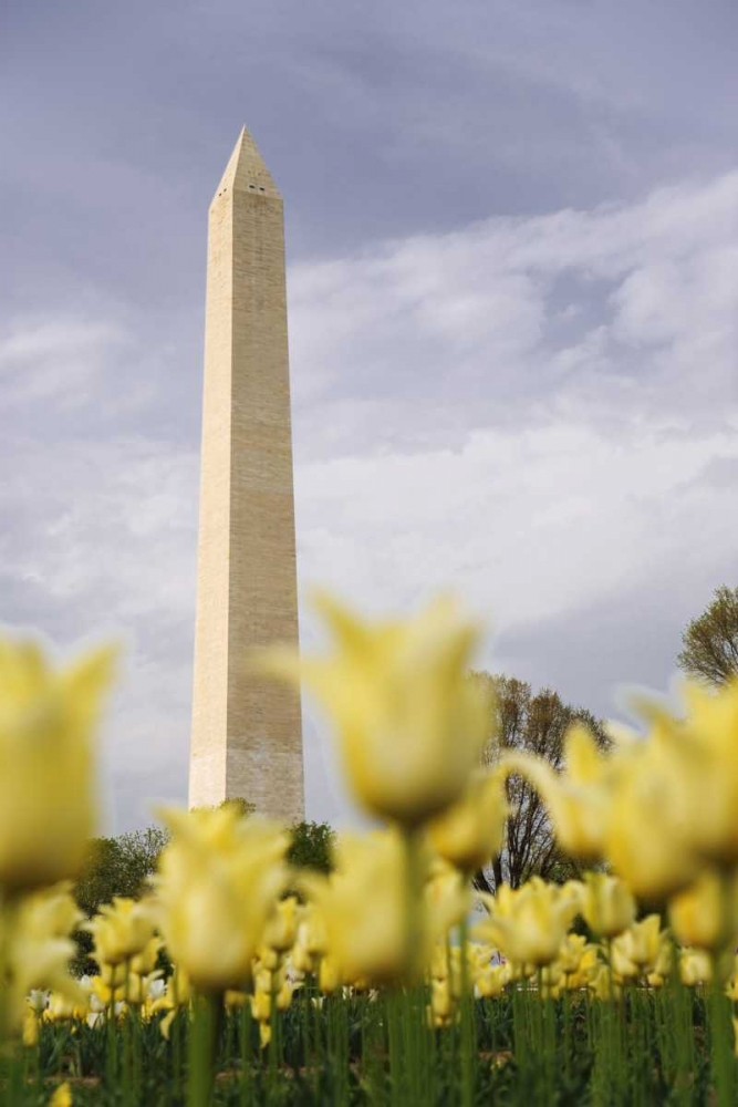 Washington DC, The Washington Monument art print by Dennis Flaherty for $57.95 CAD