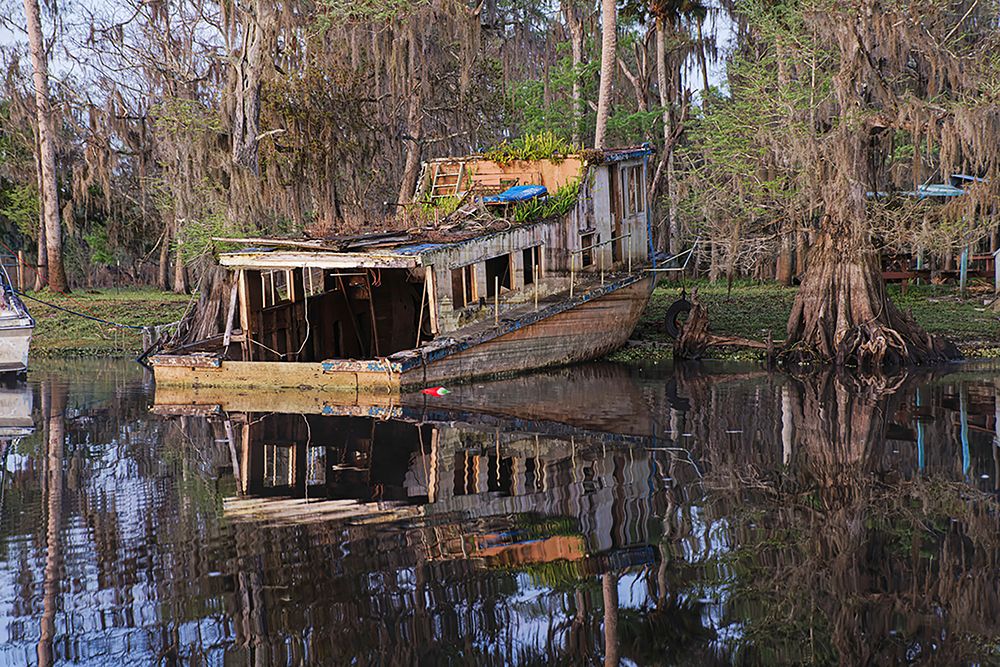 Early spring view of old abandoned boat-blackwater area of St Johns River-central Florida art print by Adam Jones for $57.95 CAD