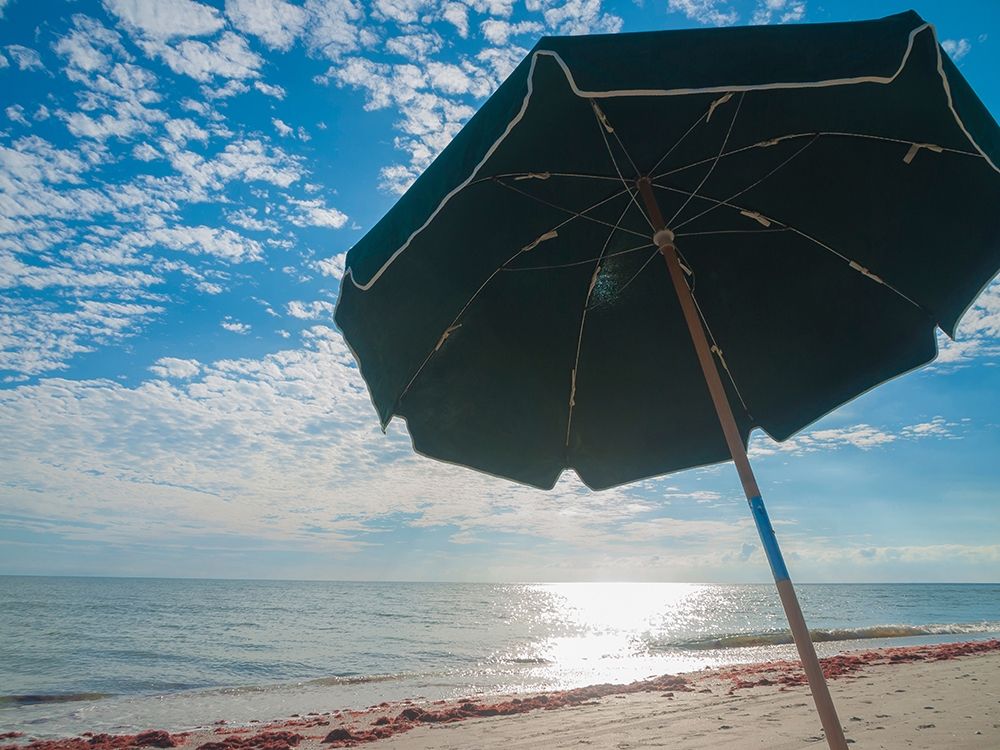 Beach Umbrella-Sanibel Island-Florida-USA art print by Anna Miller for $57.95 CAD