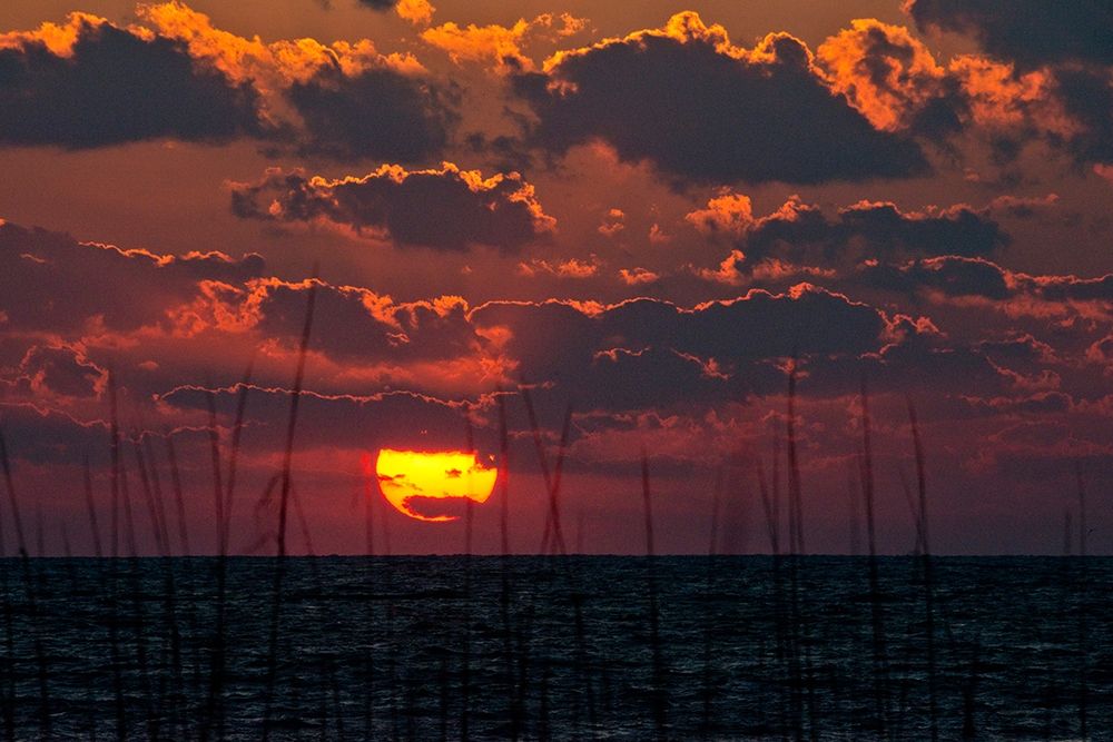 Florida-Sarasota-Crescent Beach-Siesta Key-Cloudy Sunset art print by Bernard Friel for $57.95 CAD