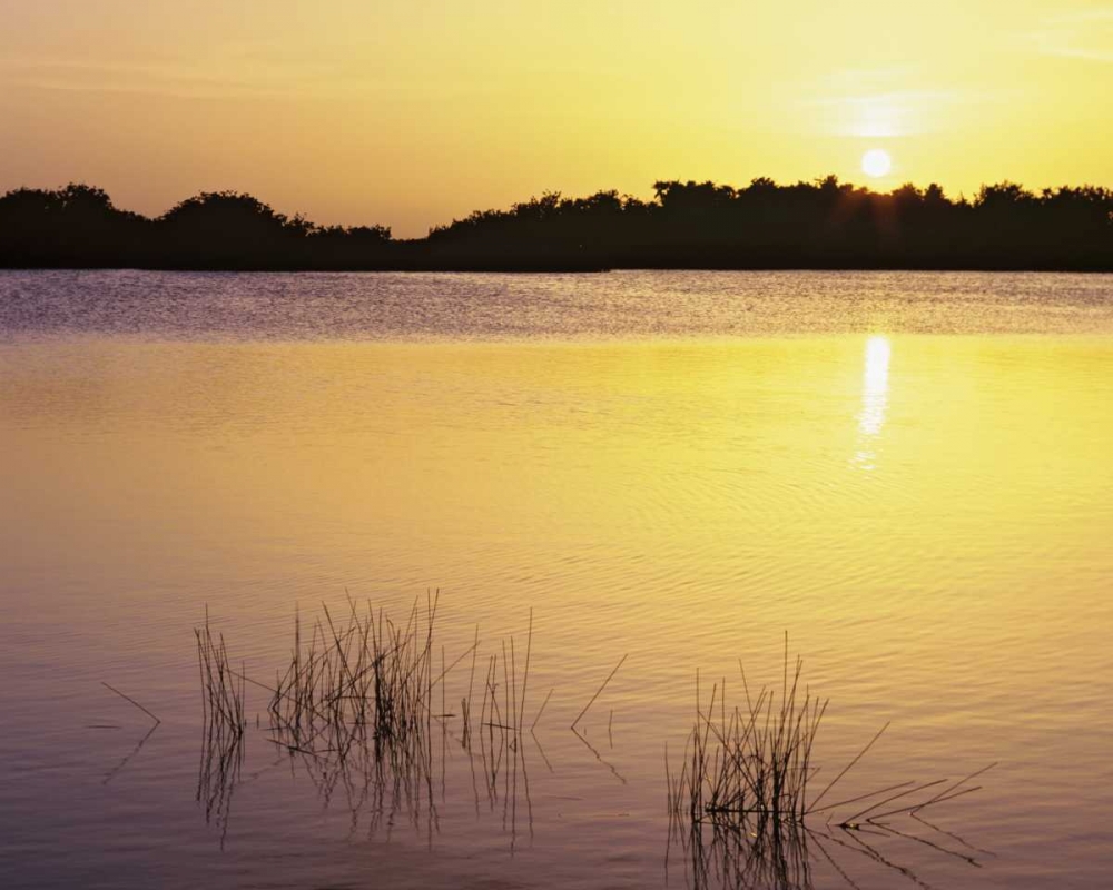 Florida, Everglades NP Sunset reflection on lake art print by Dennis Flaherty for $57.95 CAD