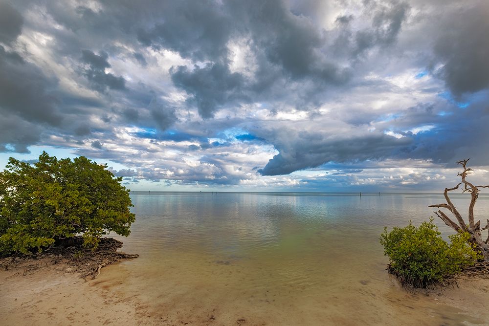 Gulf of Mexico waters from Annes Beach on Lower Matecumbe Key in Islamorada-Florida-USA art print by Chuck Haney for $57.95 CAD