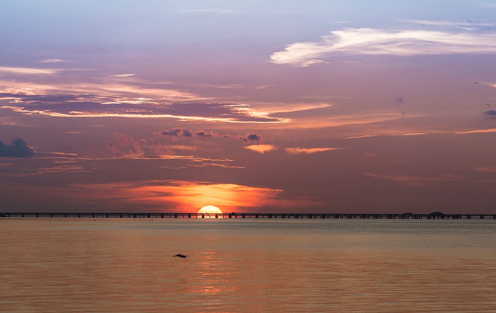 The sun rising behind the Skyway Bridge stunning purple sky and reflection on the Gulf of Mexico art print by Sheila Haddad for $57.95 CAD