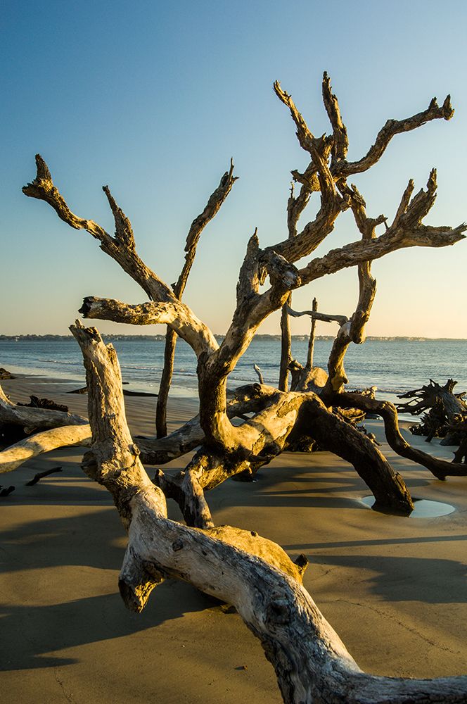 USA-Jekyll Island art print by George and Marilu Theodore for $57.95 CAD