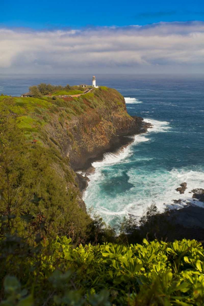 HI, Kauai Kilauea Lighthouse art print by Fred Lord for $57.95 CAD