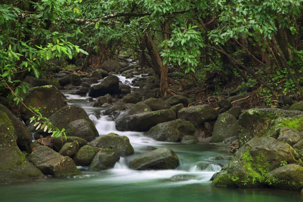 Hawaii, Kauai Creek flowing from a rainforest art print by Dennis Flaherty for $57.95 CAD