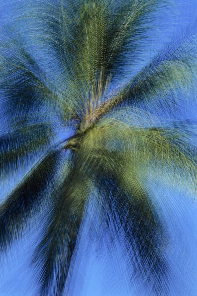 USA, Hawaii Palm tree montage art print by Marie Bush for $57.95 CAD