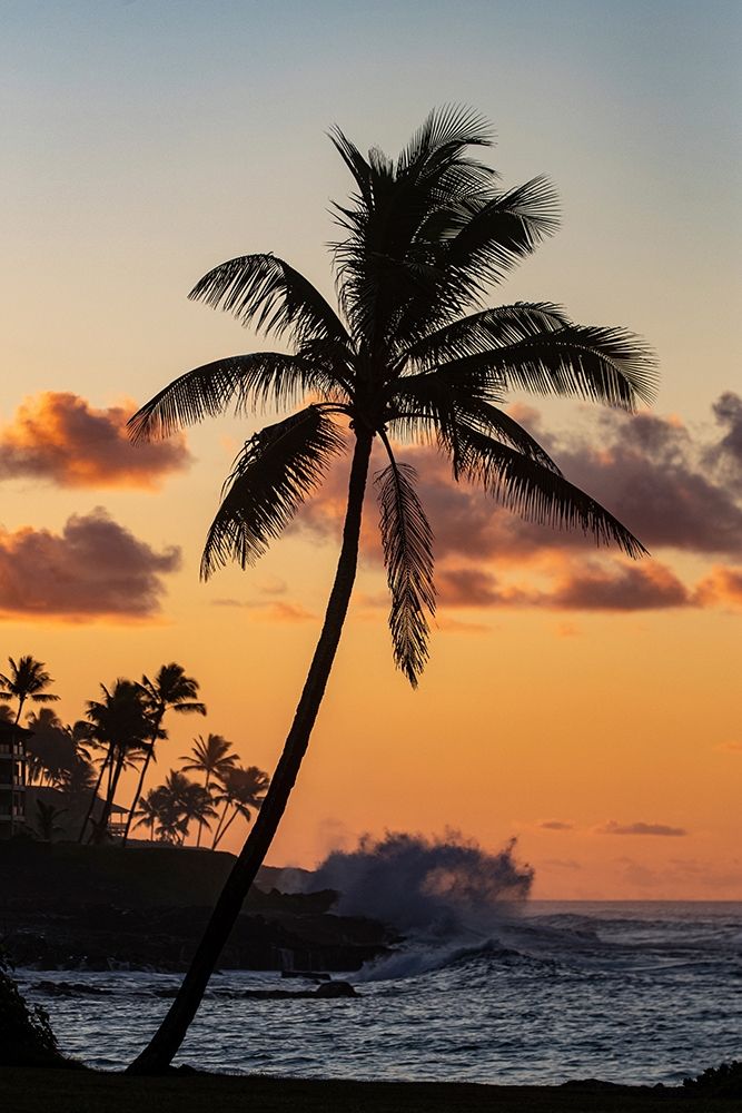 Coconut palm trees silhouetted against vivid sunrise clouds at Poipu Beach in Kauai-Hawaii-USA art print by Chuck Haney for $57.95 CAD
