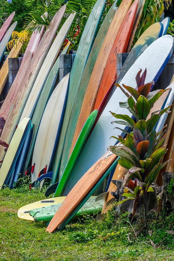 Surfboards and bodyboards-Kauai-Hawaii-USA art print by Jim Engelbrecht for $57.95 CAD