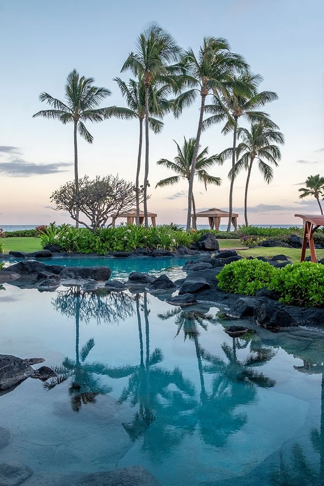 Oceanfront resort-landscape-Kauai-Hawaii-USA art print by Lisa S. Engelbrecht for $57.95 CAD