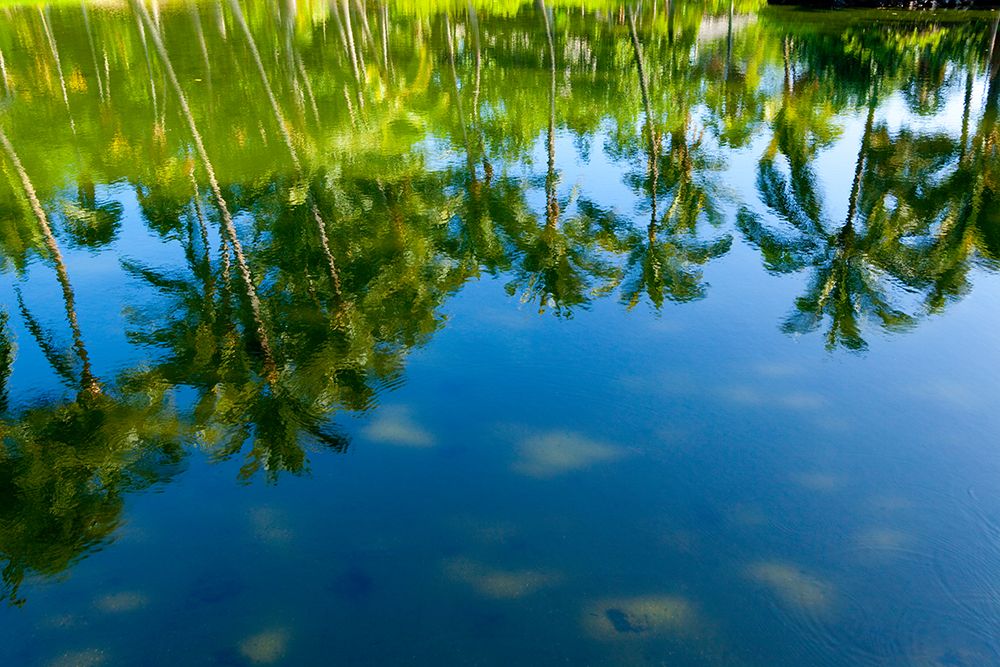 Ancient fish pond, Kona Village, Big Island, Kona, Hawaii, USA art print by Rob Casey for $57.95 CAD