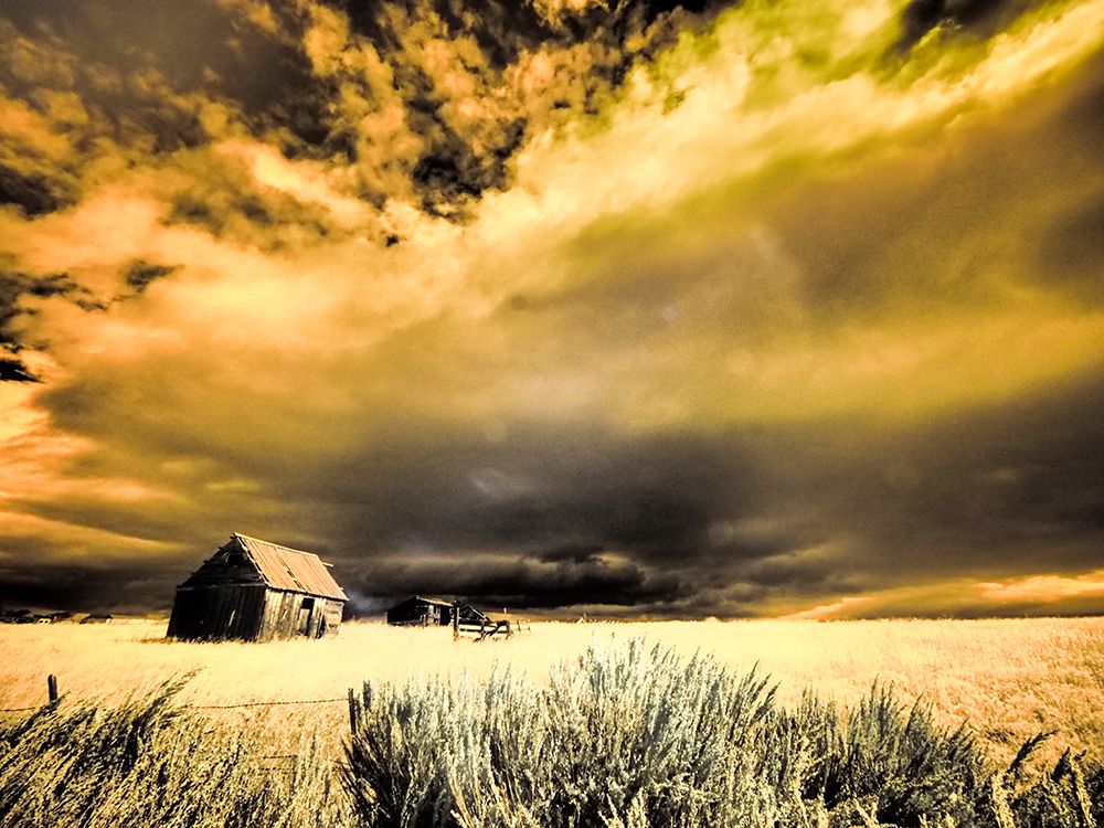 USA-Idaho-Liberty-Infrared of old cabin near Liberty art print by Terry Eggers for $57.95 CAD