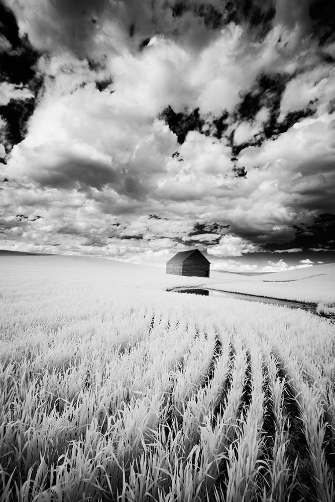Infrared Palouse fields and barn-PR art print by Terry Eggers for $57.95 CAD