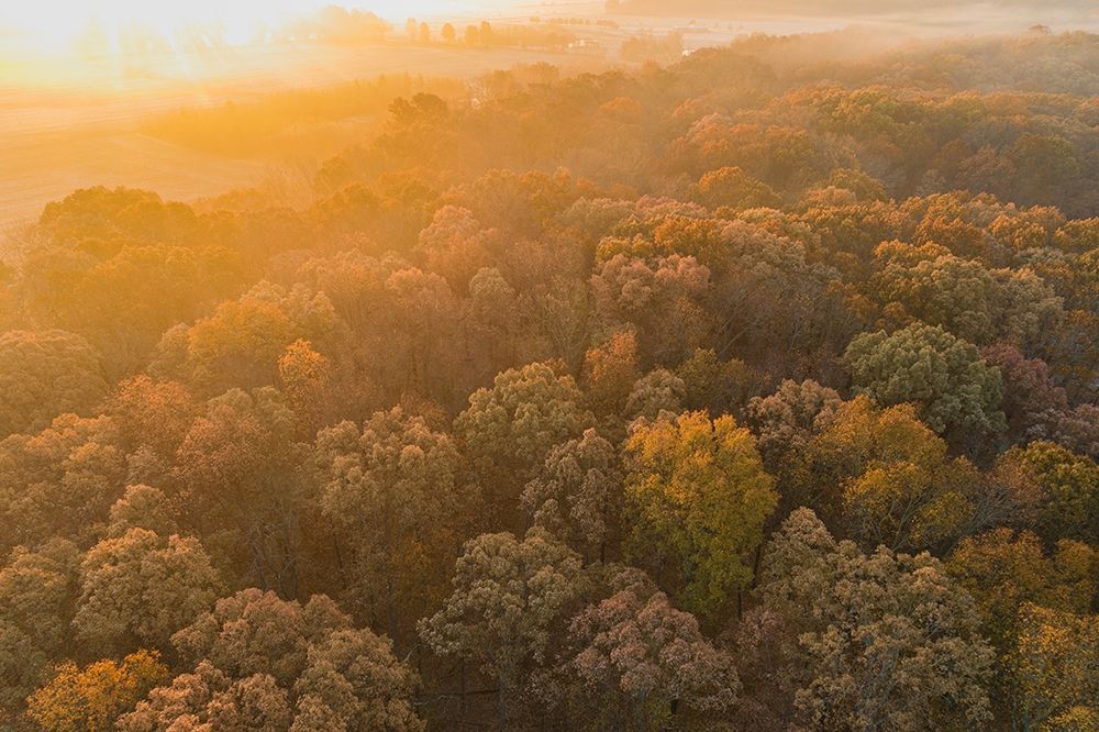 Aerial View of fall Color at sunrise-Marion County-Illinois art print by Richard and Susan Day for $57.95 CAD