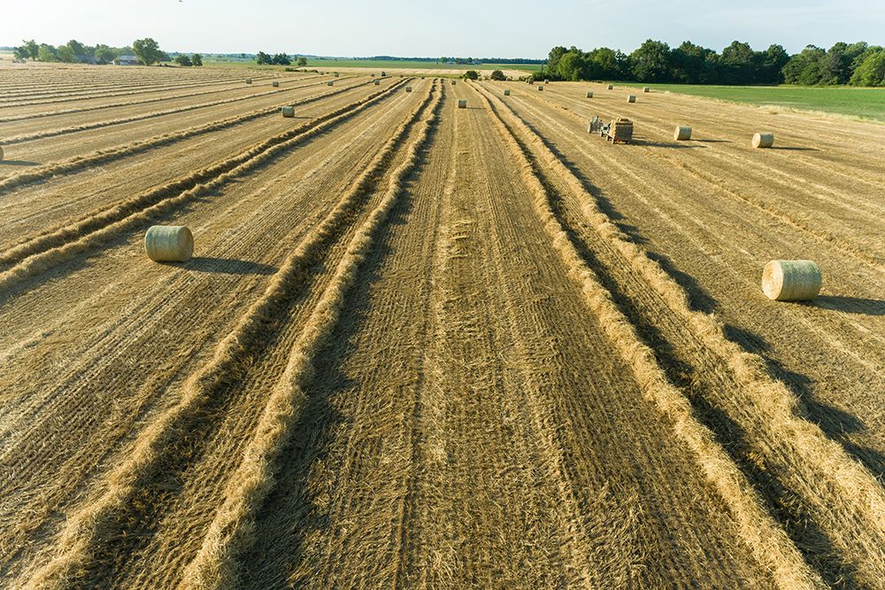 Aerial view of rows of wheat straw before baling and round bales-Marion County-Illinois art print by Richard and Susan Day for $57.95 CAD
